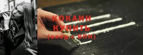 хмурый Карпинск