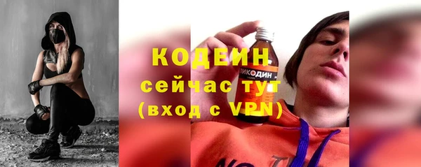 хмурый Карпинск