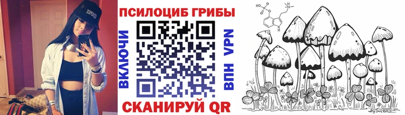 Купить где  Большой Камень  Псилоцибиновые грибы Cubensis 